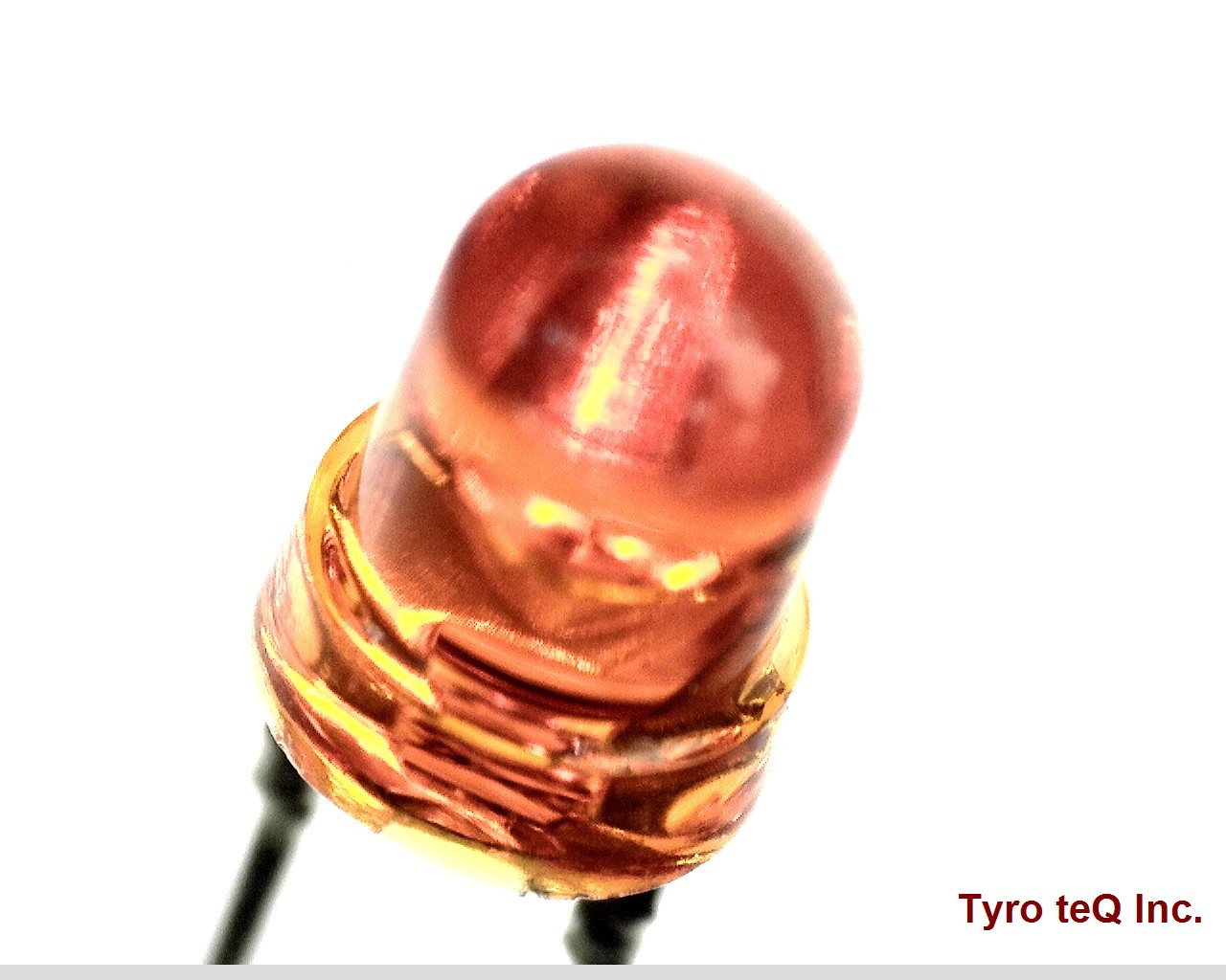 TLO123