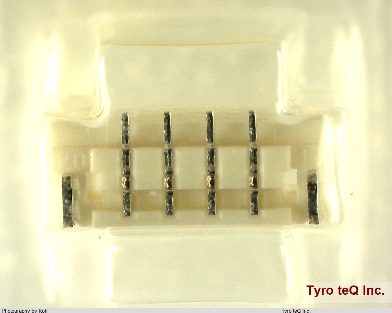 BM04B-SURS-TF(LF)(SN)