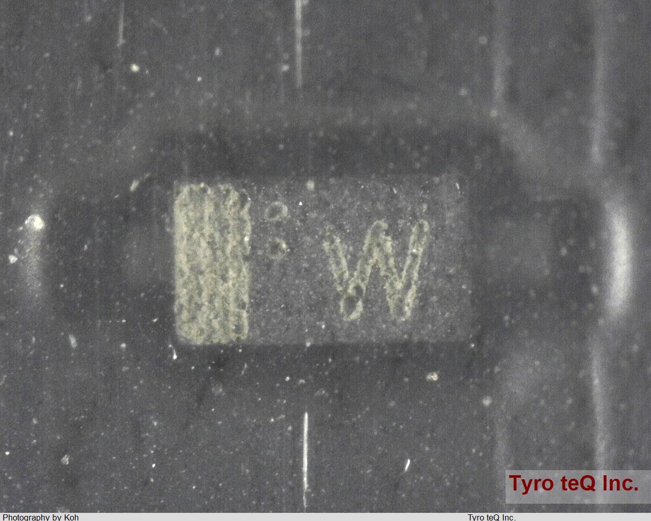 1SS418(TPL3,F)