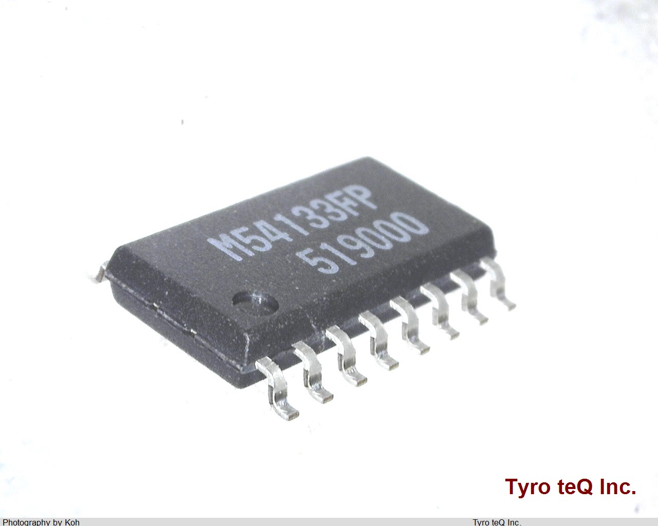 M54133FP