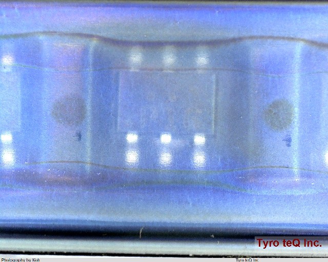 FFB5551