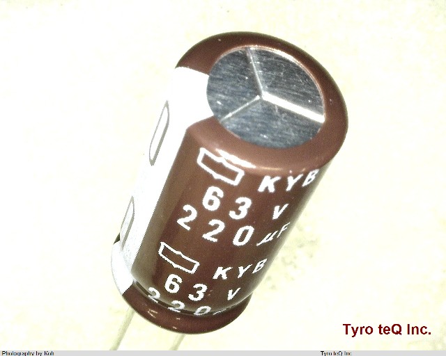 EKYB630ELL221MJ20S