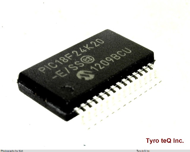 PIC18F24K20-E/SS