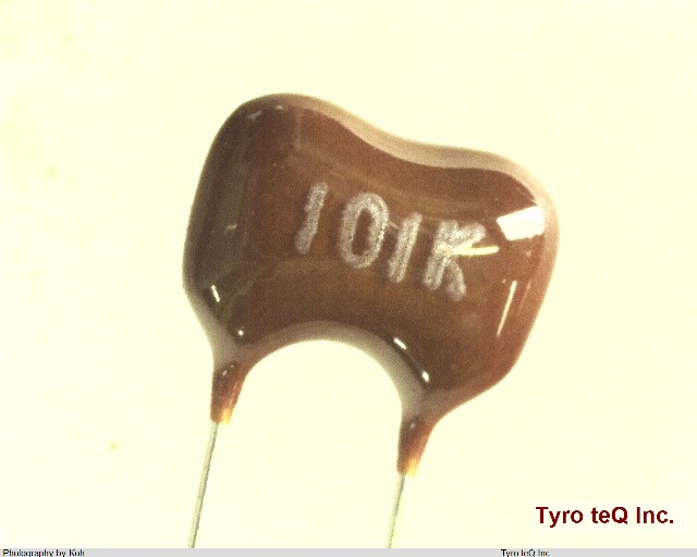 DM10C101K5