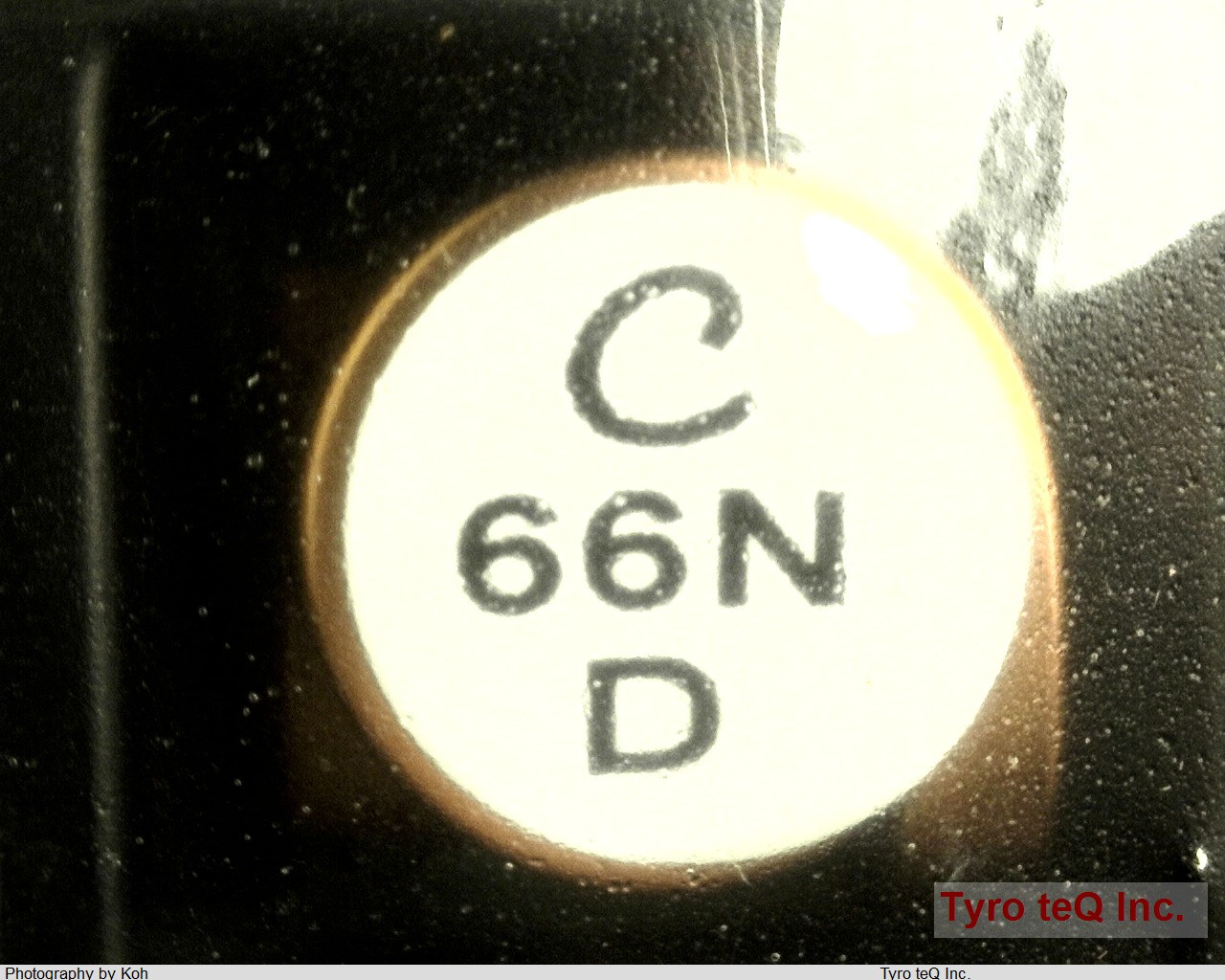 1212VS-66NMED