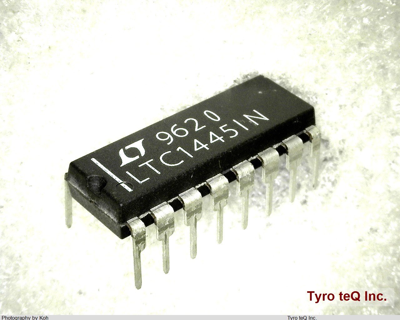 LTC1445IN
