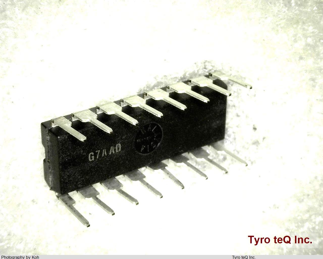 LTC1445IN