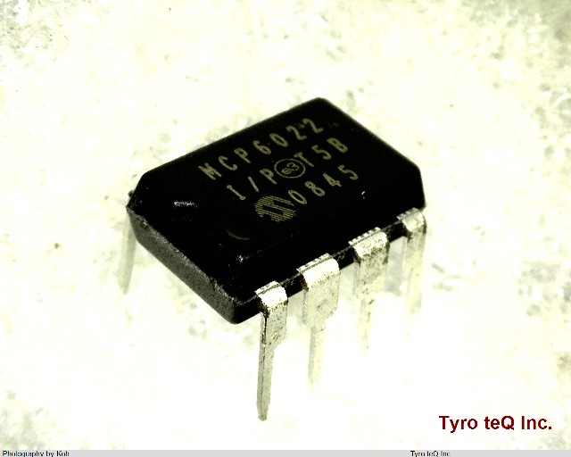 MCP6022-I/P