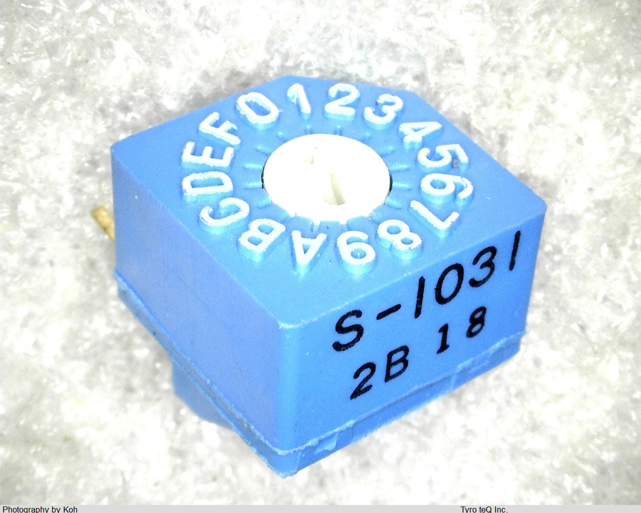 S-1031A