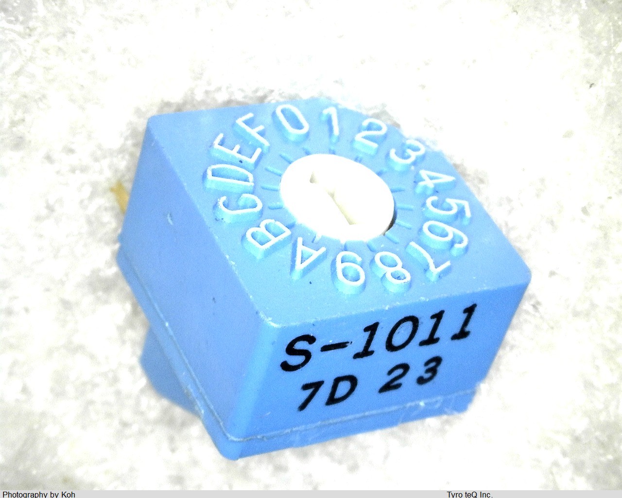 S-1011A