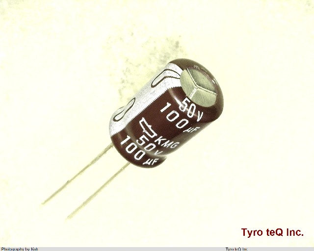 EKMG500ELL101MHB5D