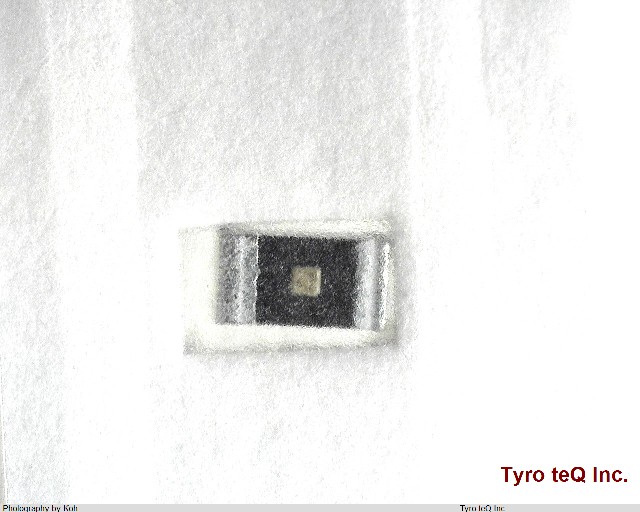 ESR03EZPJ330