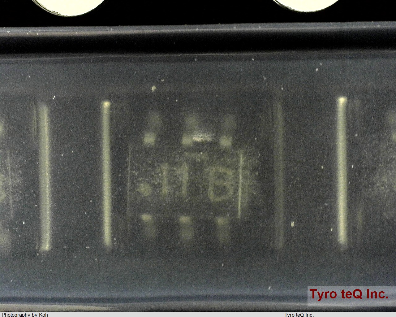 FDG311N
