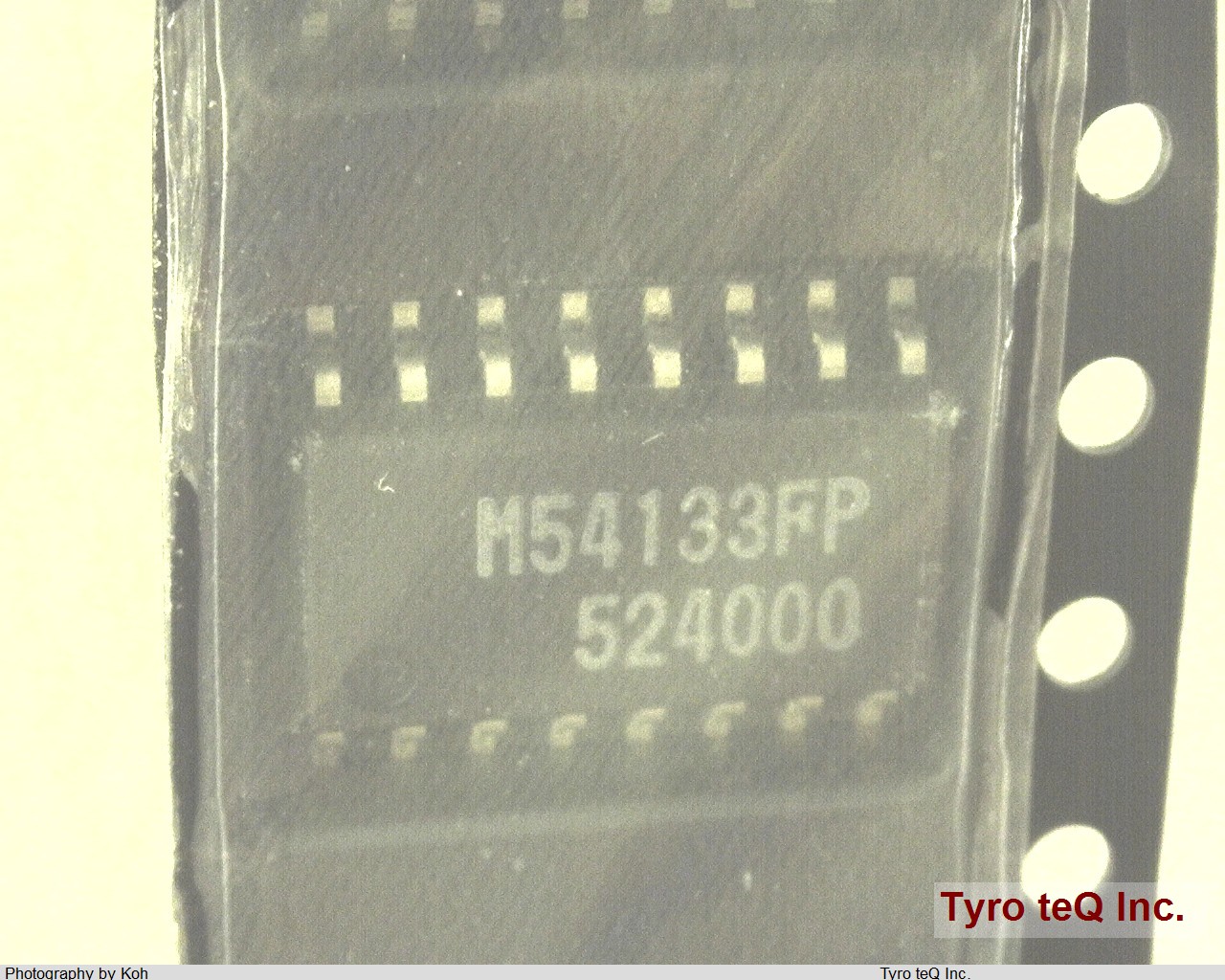 M54133FP