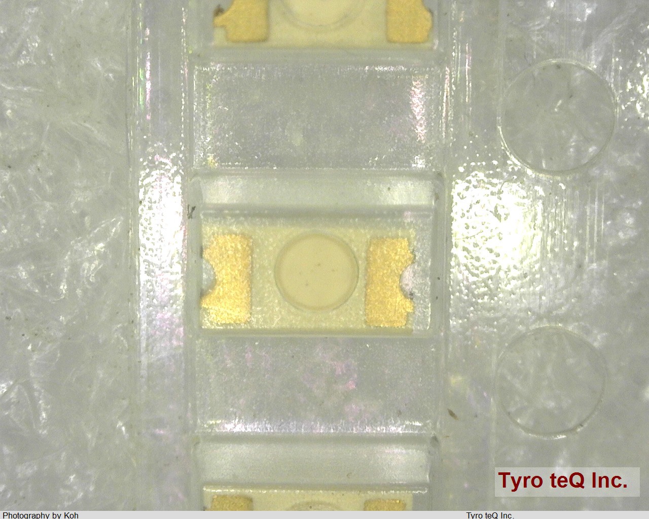 PG1101W-TR