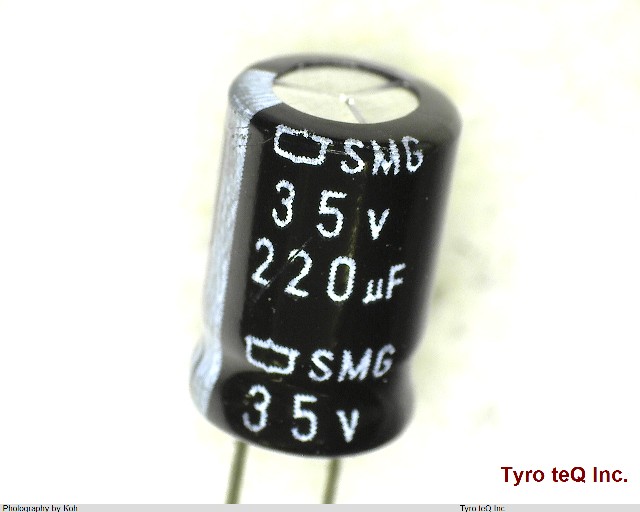 ESMG350ELL221MHB5D