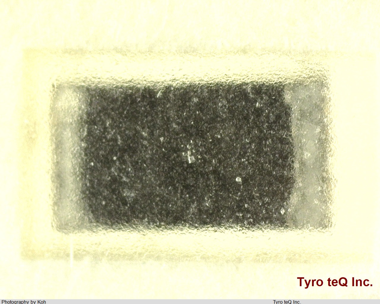HVCB0603JDD1G00
