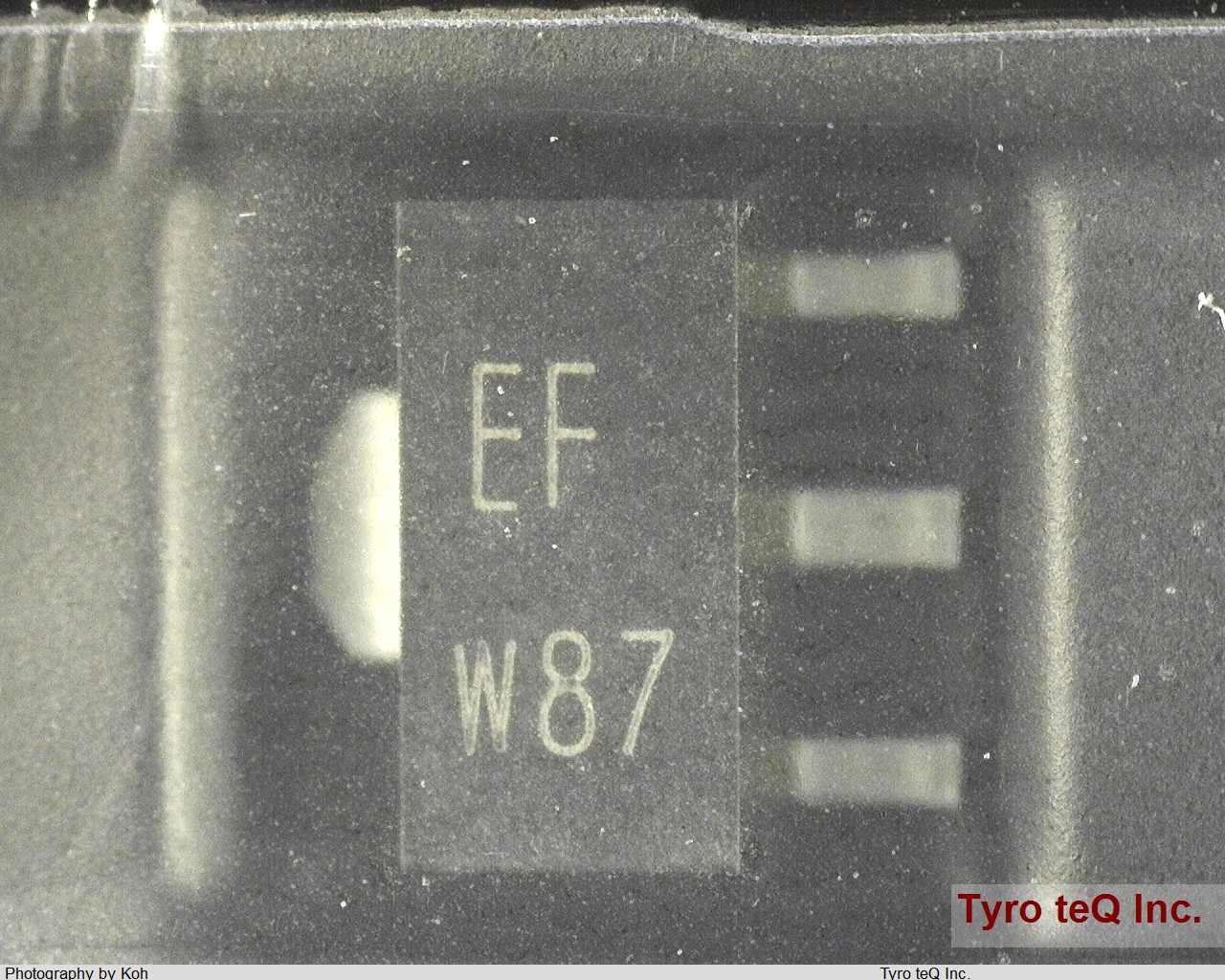 BCV29,115