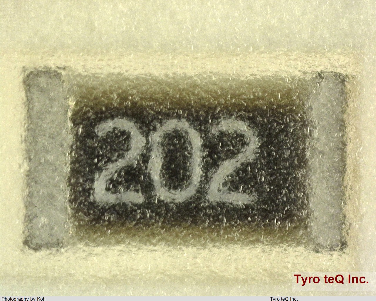 RR0816P-202-D