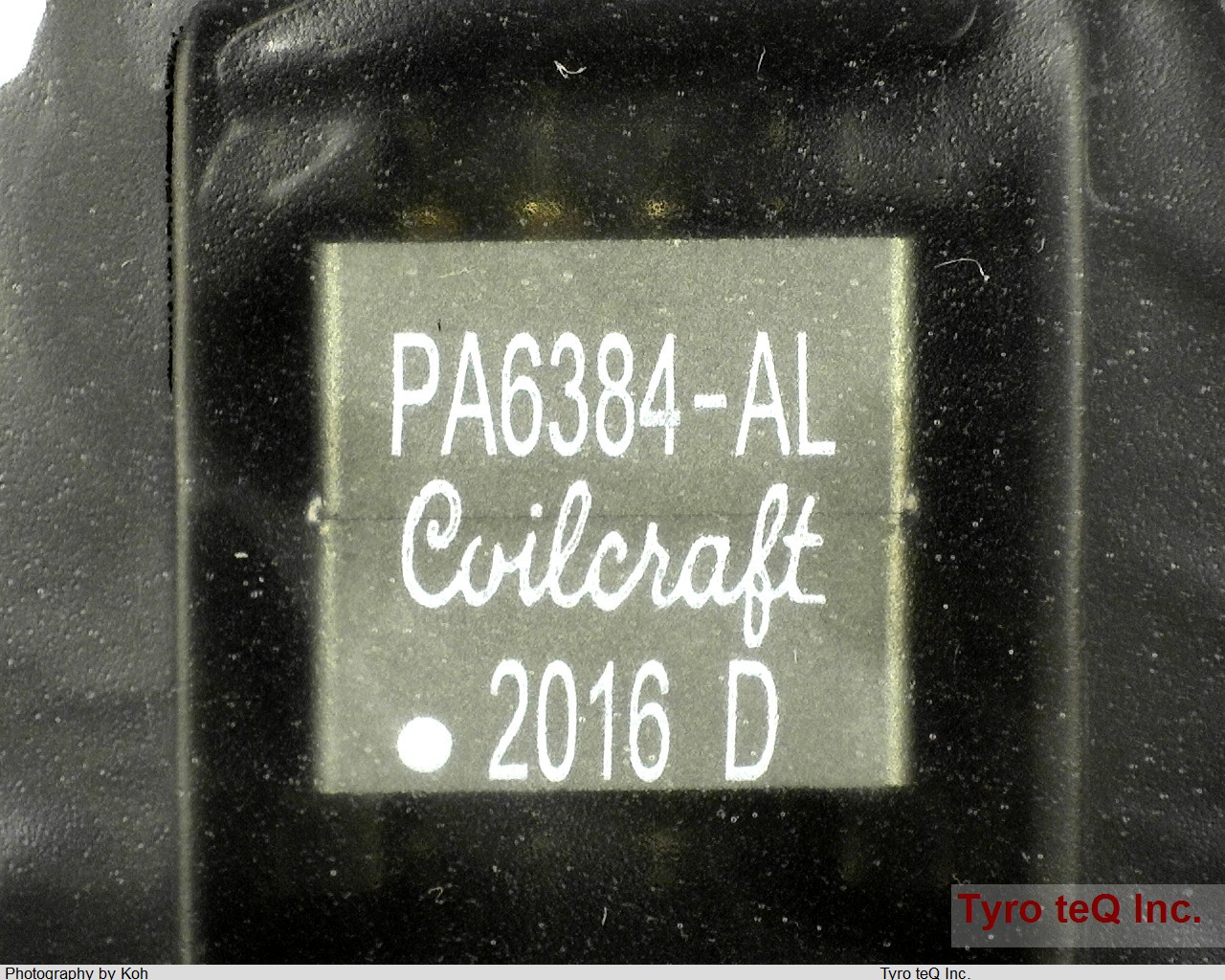 PA6384-ALD