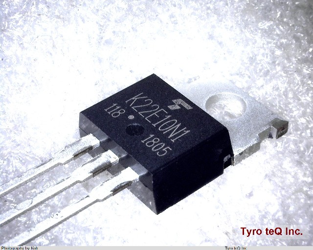 TK22E10N1
