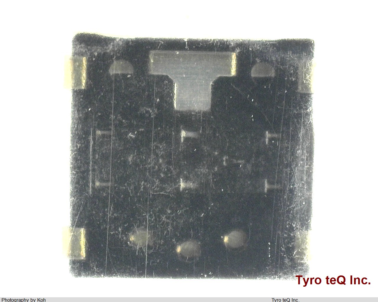 EVQP6DB35