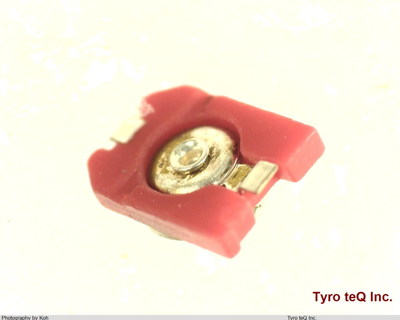 TZC3P200A110R00