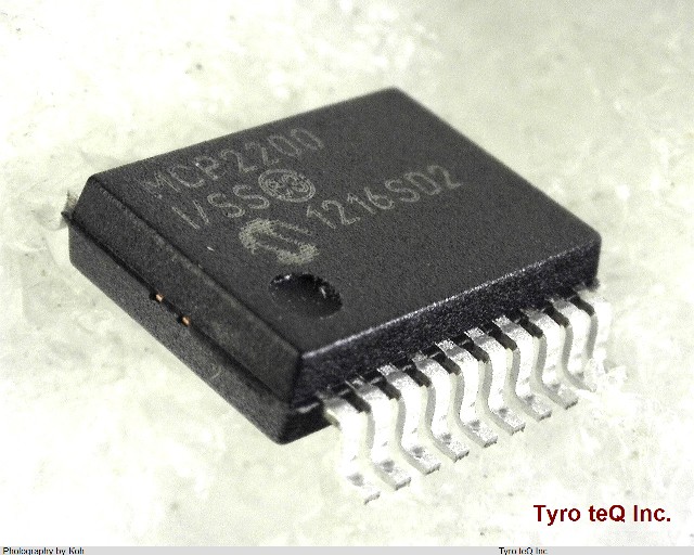 MCP2200-I/SS