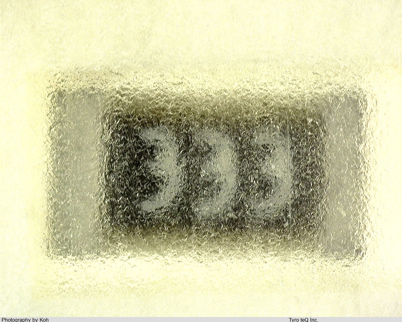 RR0816P-333-D