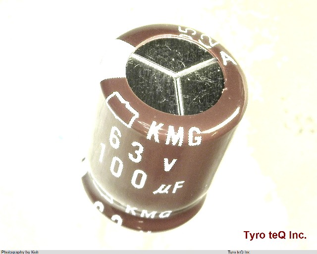 EKMG630ELL101MJC5S