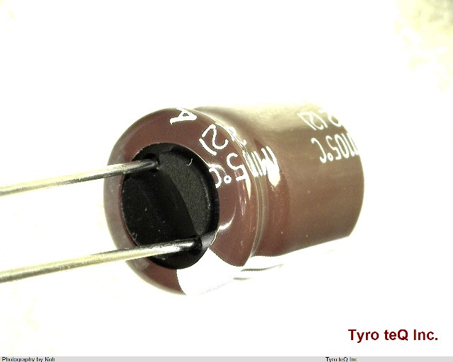 EKMG630ELL101MJC5S