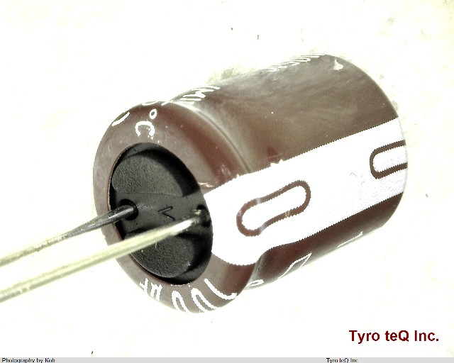 EKMG630ELL101MJC5S